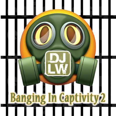 Banging In Captivity 2