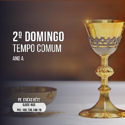 Homilia Dominical | Eis o Cordeiro de Deus.