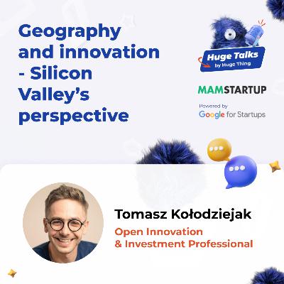 Geography and innovation - Silicon Valley's perspective