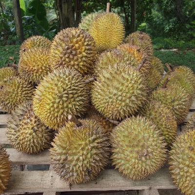 Durians and Vegans