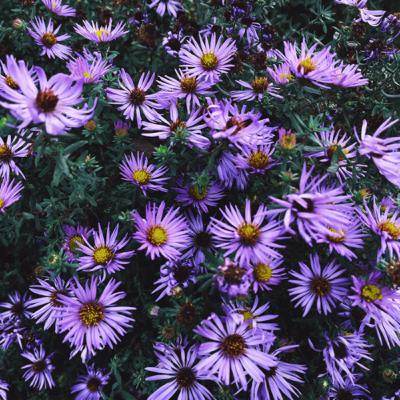 Test Run | Update #1 Test Run | Update #1