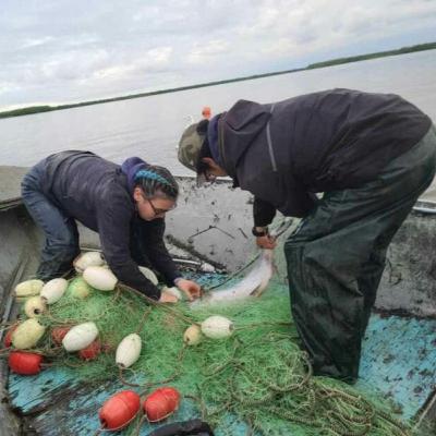 Alaska Fisheries Report 05 March 2026