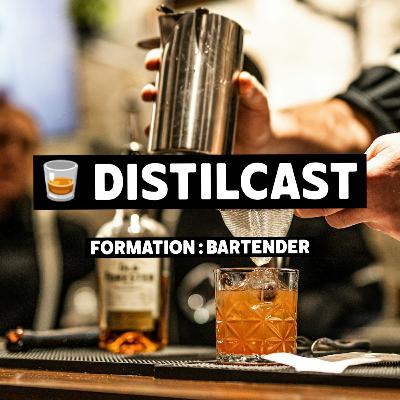 Devenir bartender : formations, conseils et retours d'expériences !