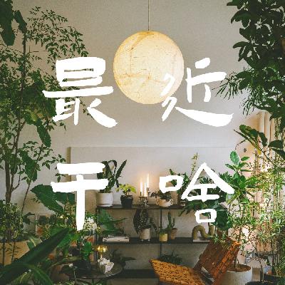 一条戛然而止、未完待续的碎碎念：拜拜深圳