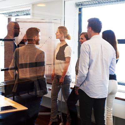 Team Cohesiveness: Growing an Intentional Learning Organization