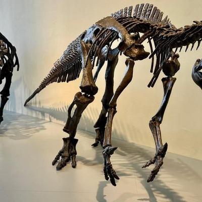 Domain of the Dinosaurs exhibition