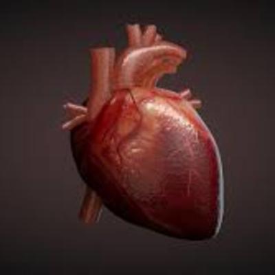 Got Heart? The Importance and How to Get Your Numbers. Got Heart? The Importance and How to Get Your Numbers.