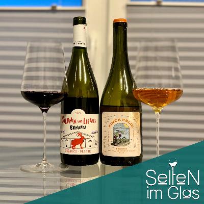 Folge 5: Vergesst Malbec - Wir haben was Spannenderes Folge 5: Vergesst Malbec - Wir haben was Spannenderes