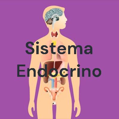 Podcast del sintema endocrino