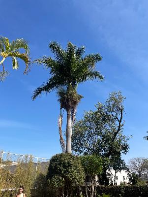 HOW I REWROTE "NANA'S FUNERAL :("