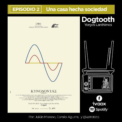 DOGTOOTH: Una Casa Hecha Sociedad