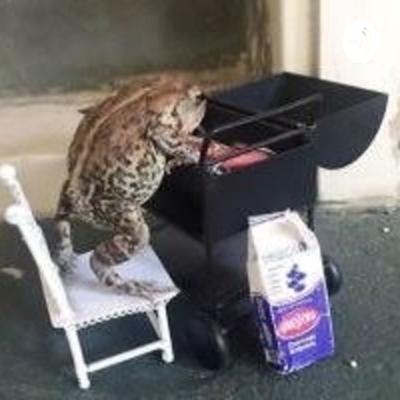 more stories pt2||ep3