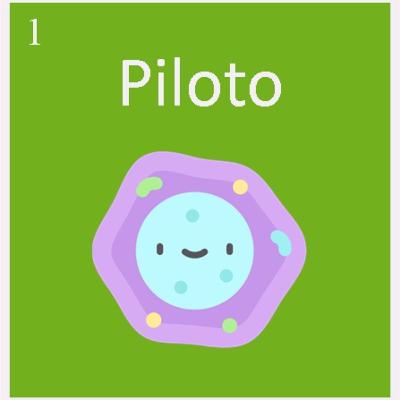 1. Piloto