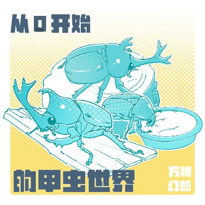 从0开始的甲虫世界-第二期