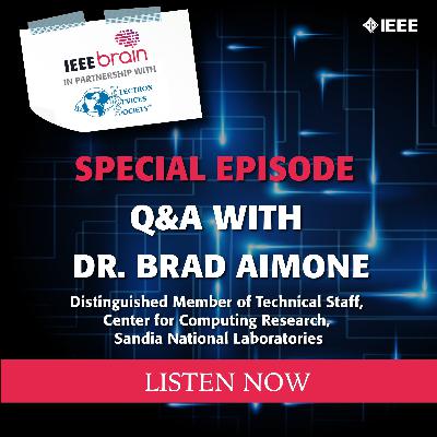 Episode 26: Q&A with Brad Aimone, Sandia National Labs Episode 26: Q&A with Brad Aimone, Sandia National Labs