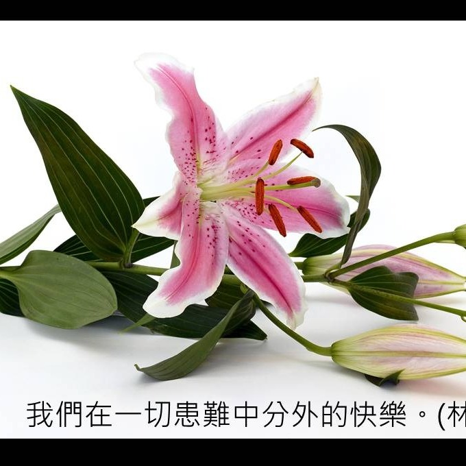 林後7(2-7)