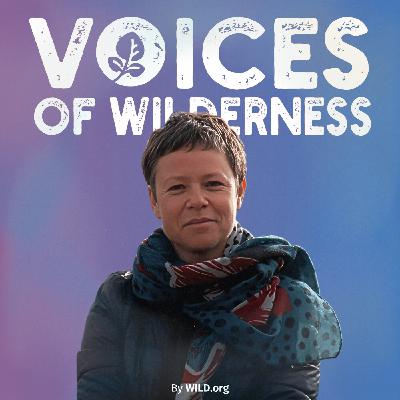 (57) "The Truth Behind the ‘Big Bad Wolf’" with Claire Galloni D'Istria