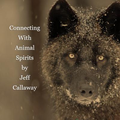 WOLF SPIRIT GUIDED SHAMANIC JOURNEY