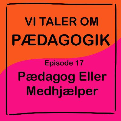 Pædagog Eller Medhjælper