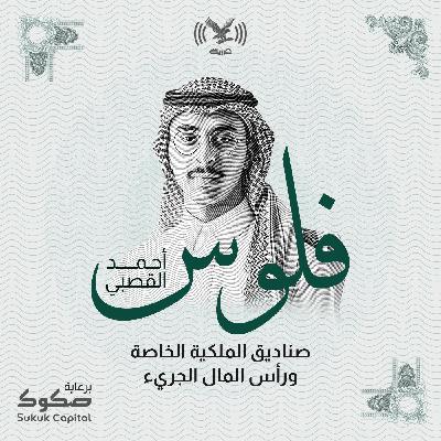 صناديق الملكية الخاصة ورأس المال الجريء
