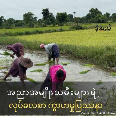 အညာအမျိုးသမီးများရဲ့ လုပ်ခလစာ ကွာဟမှုပြဿနာ Episode:384