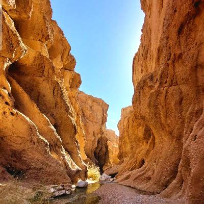 صلح چهارگانه برای رسیدن به آرامش