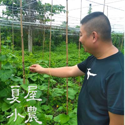 S1E8 昆蟲總動員,昆蟲是植物的好朋友 #青楓有機農場 卓青楓 S1E8 昆蟲總動員,昆蟲是植物的好朋友 #青楓有機農場 卓青楓