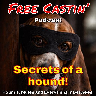 Just a bunch of hound talk it is!