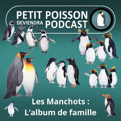 S05E11 Les Manchots : L'album de famille (Mathilde Chevallay)