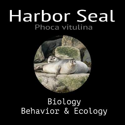 Harbor Seal - Biology, Behavior and Ecology