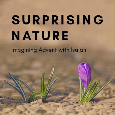 Praying in Color- Week 1 of Advent (Isaiah 2:1-5)- Rev. Erina Kim-Eubanks
