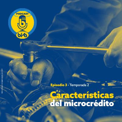 E3 T2 Características del Microcrédito E3 T2 Características del Microcrédito