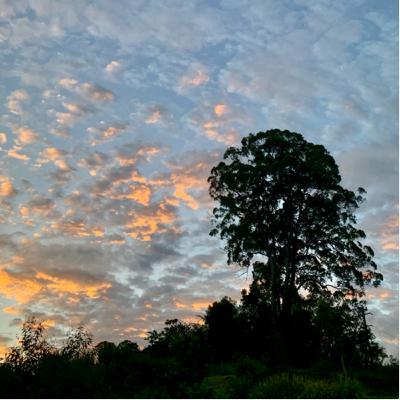 Sounds of dusk as the sun moves on