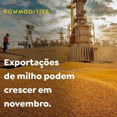 Exportações de milho podem crescer em novembro. Exportações de milho podem crescer em novembro.