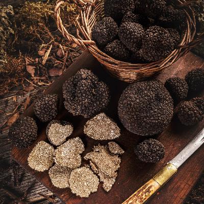 Mundo rural - Mercosur, turismo rural y trufa negra - 06/02/26 Mundo rural - Mercosur, turismo rural y trufa negra - 06/02/26