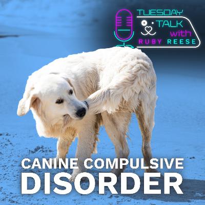 Canine Compulsive Disorder (CCD) Canine Compulsive Disorder (CCD)