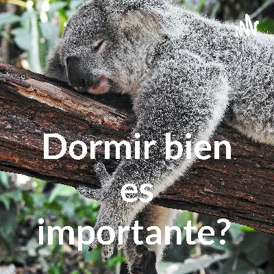 Dormir bien es importante? Dormir bien es importante?