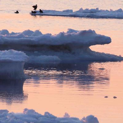 Drift Ice at Shiretoko National Park, Hokkaido, Japan. (15 min)