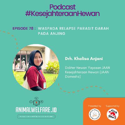 Eps 78 - WASPADA RELAPSE PARASIT DARAH PADA ANJING