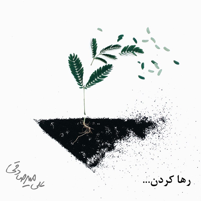 رها کردن