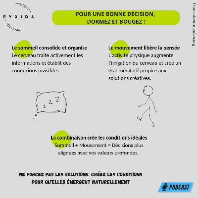 Pour une bonne décision, dormez et bougez (S1E13) Pour une bonne décision, dormez et bougez (S1E13)
