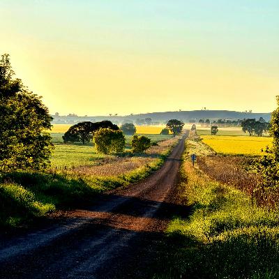 Episode 1021: Car wheels on a gravel road #123 with Tiff