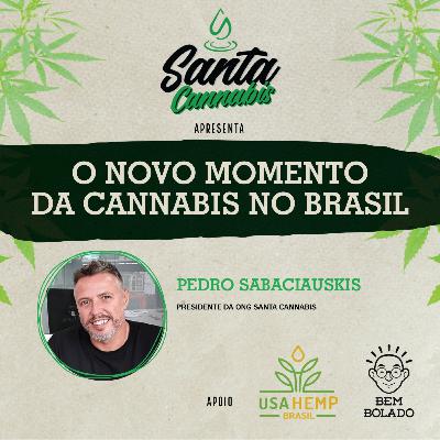 O Novo momento da Cannabis no Brasil