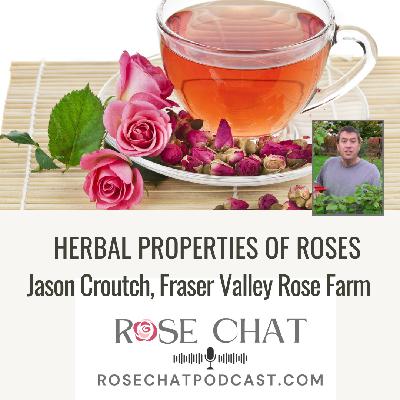 HERBAL PROPERTIES OF ROSES
