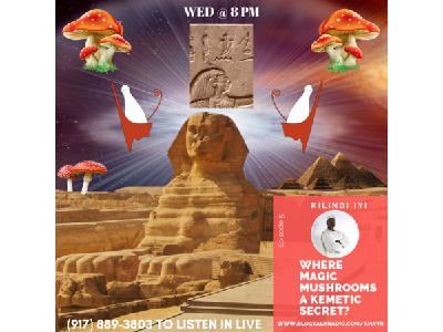 THE SECRETS OF THE METU NETER & THE MAGIC MUSHROOM w/ Kilindi Iyi (Episode 5)