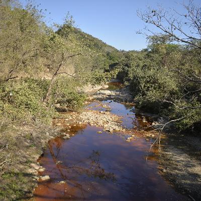 El río que brilla de veneno (Ep.1) | La historia del abuelo Sebastián