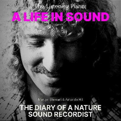Scandinavian Soundscapes – Ice, Storms, and the Dawn Chorus