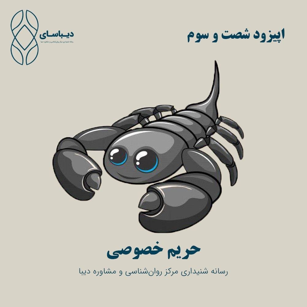 اپیزود شصت و سوم - حریم خصوصی اپیزود شصت و سوم - حریم خصوصی