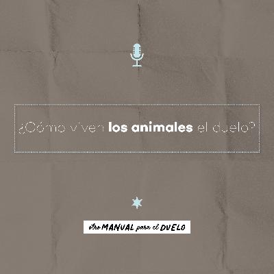 Ep. 47: ¿Cómo viven los animales el duelo?