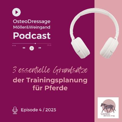 3 essentielle Grundsätze der Trainingsplanung für Pferde